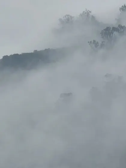 (Duplicate of 102) A close-up of the disappearing hills, where the fog erases the horizon. These ephemeral moments on site often provide unexpected inspiration.