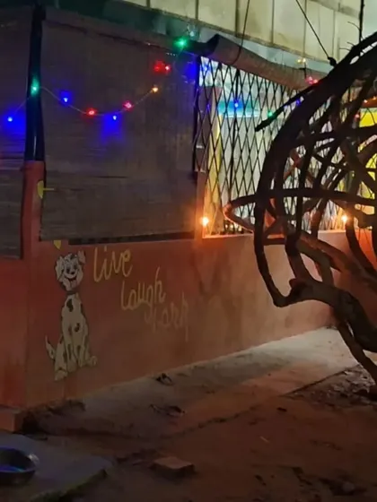 Our "Live Laugh Bark" mural, decorated with festive lights. It's a motto we live by every day.