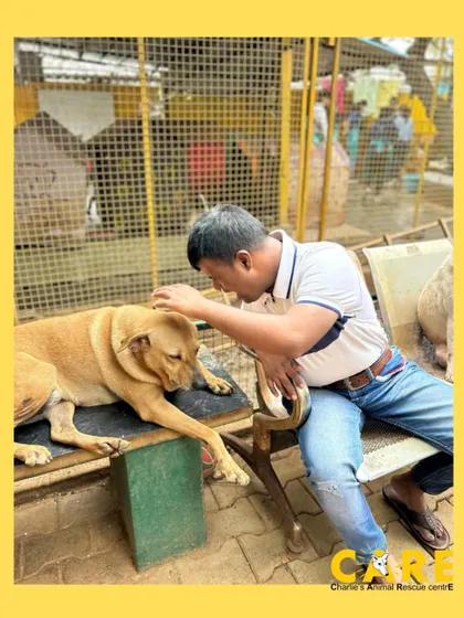 A heartwarming connection being made during the Diya Foundation's visit. Spending time with our animals is therapeutic for both them and our visitors.