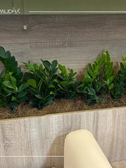 Here you can see the rich texture of the ZZ plants used in the integrated planters. Their glossy, dark green leaves provide a lovely contrast against the light wood, adding depth and life to the space.