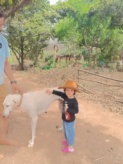A gentle moment between a child and a friendly hound at the farm. These interactions teach children how to approach and respect animals.