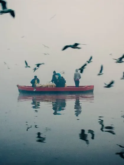 The birds are a huge part of the Yamuna Ghat experience. Here, I captured their reflections in the water, creating a beautiful, almost abstract pattern of movement.