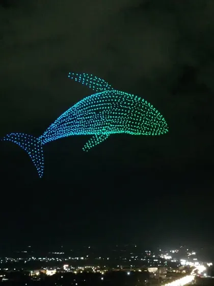 A beautiful shot of a whale shark formation, captured by one of our team photographers. This image showcases the intricate designs and vibrant colors we can achieve.