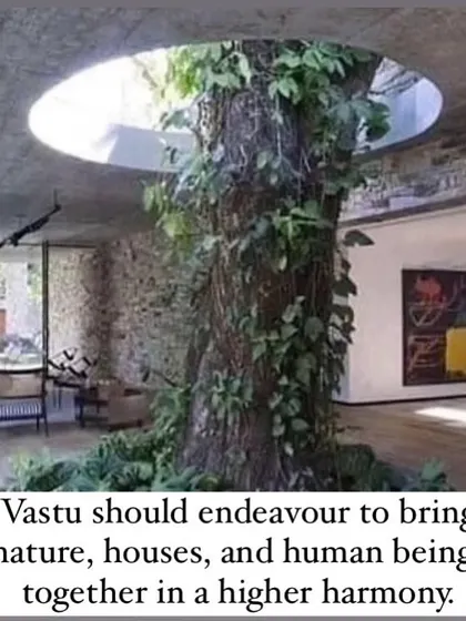True Vastu seeks to create a higher harmony between nature, our homes, and ourselves. As seen in this image where a tree is integrated into the structure, my goal is to design spaces that feel like a natural extension of the world around us.