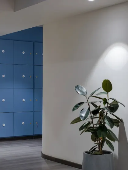 A pop of cerulean blue on the staff lockers adds a playful and vibrant touch to the office corridor, turning a purely functional element into a design feature.