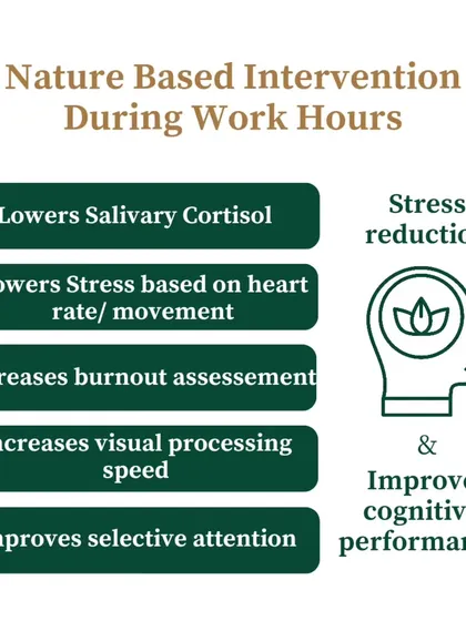 Nature-based interventions during work hours have proven benefits, from stress reduction to improved cognitive performance. We design our programs to deliver these positive outcomes for your team.