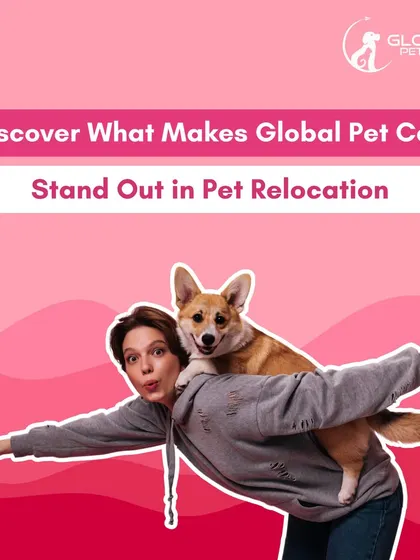What sets Global Pet Cab apart? It's our dedication to safety, our love for animals, and our commitment to providing a seamless, stress-free relocation experience.