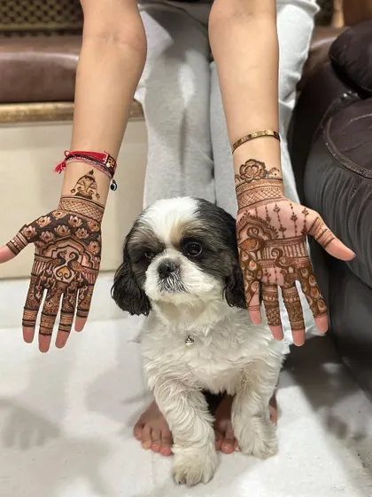 And we can't forget our furry friends. This little doggo wanted to be part of the mehendi photo session too. 🐶❤️