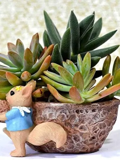 Here is the squirrel nut pot with some succulents planted inside to give you an idea of how it can be styled. It's a lovely way to display your favorite small plants.