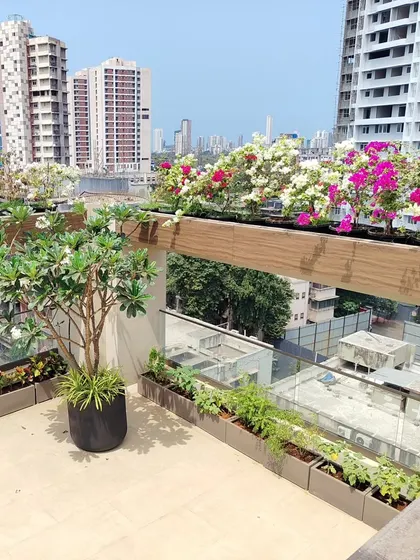 A clean, expansive view of the terrace garden, showcasing the beautiful Bougainvillea and the city view.