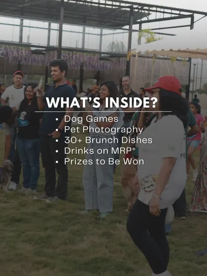 What's inside our brunch events? This graphic lays it out: dog games, pet photography, a huge brunch spread, and prizes to be won.