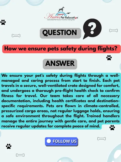 We ensure your pet’s safety during flights through a well-managed and caring process. Each pet travels in a secure, well-ventilated crate and is flown in a climate-controlled, pressurized area designed for animals, not in regular luggage.