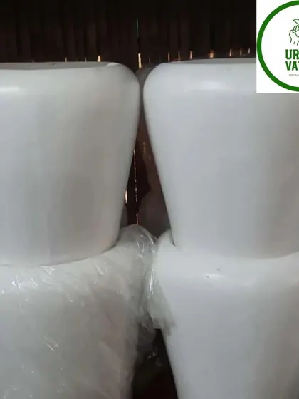 Large, square white plastic pots.