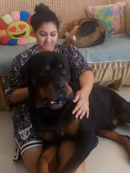 There's always time for cuddles. This is the comfortable, loving environment your dog experiences here. A relaxed dog is a dog that's ready to learn.