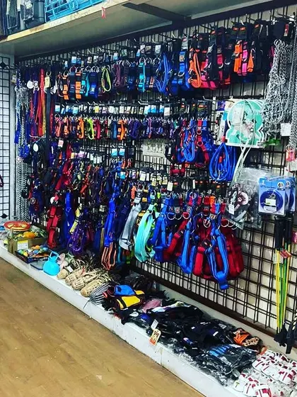 Get ready for walkies. We have an entire wall dedicated to high-quality leashes, colorful harnesses, and durable collars for dogs of all breeds and sizes.
