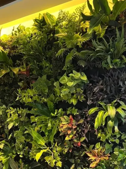 A closer look at the "jungle theme" green wall, showing the variety of leaf shapes, colors, and textures. We carefully select plants like Crotons and Dracaena to add pops of red and dark purple for visual depth.
