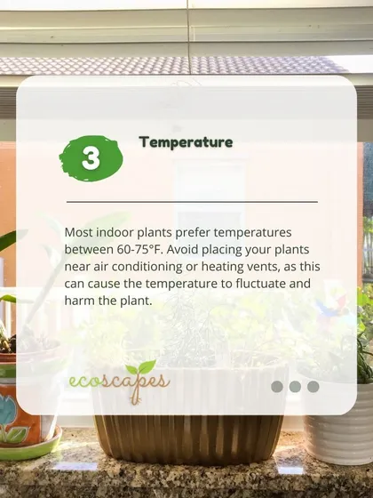 Indoor Tip 3: Temperature. Most houseplants prefer stable temperatures. Avoid placing them near AC vents or heaters, as sudden fluctuations can harm the plant.
