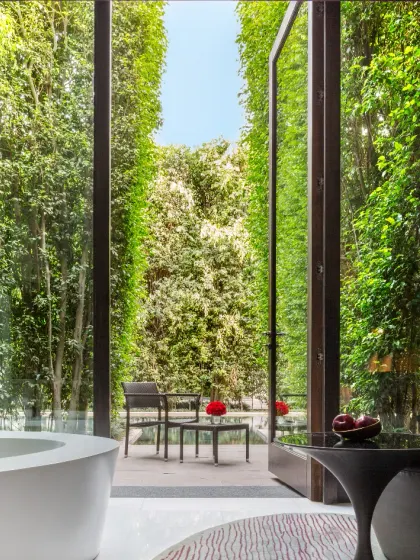 Many of our suites open up to private green spaces. This connection to nature, with walls of living plants, is central to the calming experience we offer.