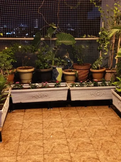 A lush and dense balcony garden, creating a private jungle feel even at night. This space is packed with a variety of large-leaf plants in different pots and planters.