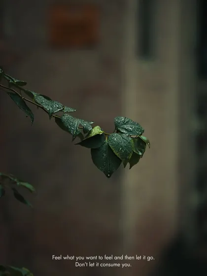 A branch with raindrops. The dark, cool tones and shallow depth of field create a peaceful and melancholic mood.