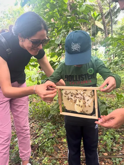 Learning about bees is a powerful lesson in ecology and the importance of every creature. Here, my son and I are getting a close-up look at a honeycomb. Experiences like this connect us to the natural world and inspire a sense of responsibility.
