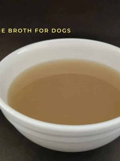 Add a splash of health to your dog's bowl. Our bone broth is an easy way to boost hydration and support joint health.