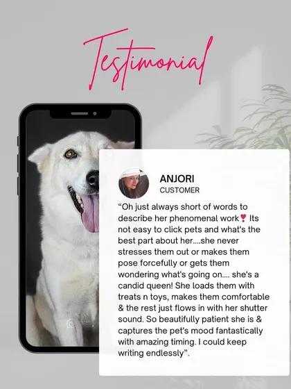 An enthusiastic review praising my candid approach and ability to capture a pet's mood with amazing timing.