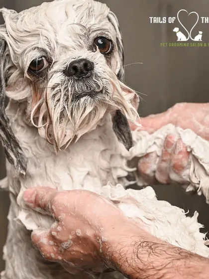A close-up of our blueberry facial bath. The rich, gentle lather cleanses and brightens without irritating the eyes.