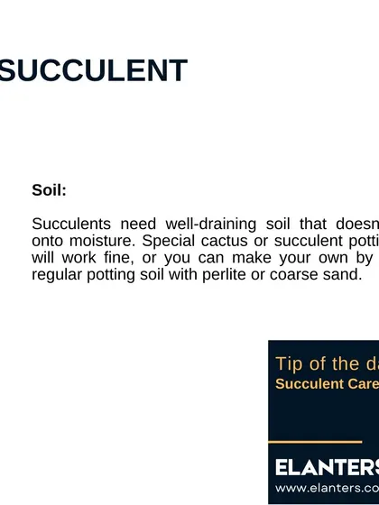 Succulent Care Part 4: Soil. Always use a well-draining cactus or succulent potting mix. You can also make your own by mixing regular soil with perlite or coarse sand.