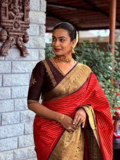 A timeless look featuring a deep brown blouse with delicate V-neck embroidery. This demonstrates how an elegant, well-fitted blouse can enhance the beauty of a classic silk saree.