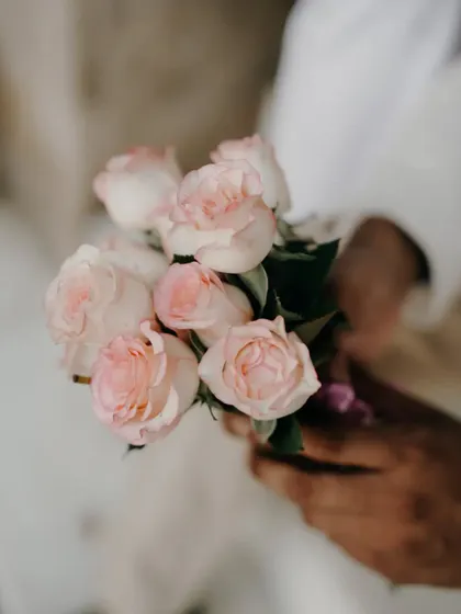 A close-up of the beautiful pink roses. Props like flowers can add a soft, romantic touch to any photoshoot.