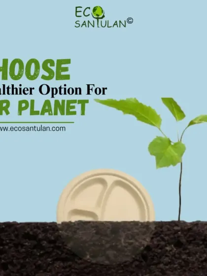 This image symbolizes how our choices can nurture the planet. A compostable plate breaks down in the soil, becoming part of the earth again and allowing new life to grow. It's a healthier option for our planet.