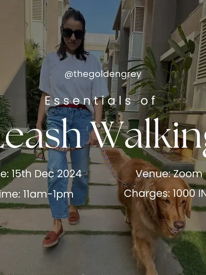 Enjoyable walks are possible. I host regular online webinars on the "Essentials of Leash Walking" to help dog parents everywhere tackle pulling and reactivity, making walks fun again.