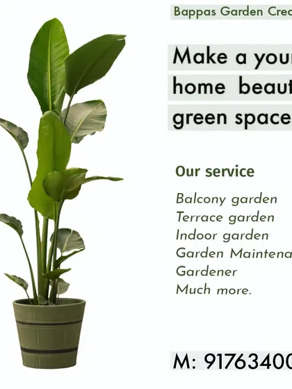 Our mission is to make your home a beautiful green space. We offer a wide range of services, including balcony, terrace, and indoor garden design, as well as ongoing maintenance from a professional gardener.