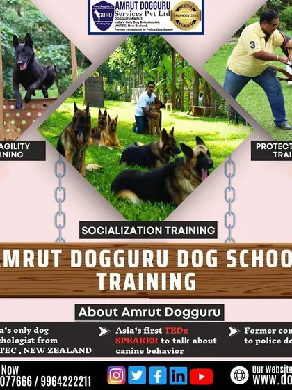 This graphic provides an overview of the different training programs offered at my school, including agility, protection, and socialization.