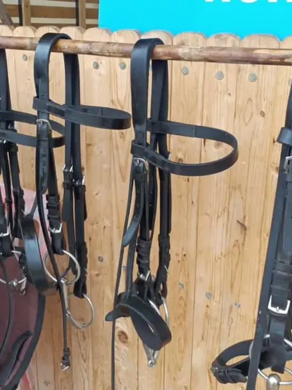 A row of leather bridles hanging in the tack room. We ensure all our equipment is kept clean, organized, and in perfect condition.