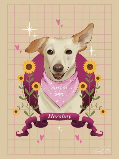 Meet the adorable Hershey. For this digital illustration, I focused on her happy expression, using a warm color palette with sunflowers and a custom banner to match her sunny personality. This style is perfect for a cheerful, modern pet tribute.