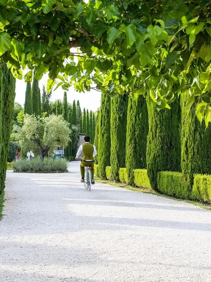 A wide, bright gravel driveway lined with tall, slender cypress trees and neat boxwood hedges. This classic European design creates a grand and elegant approach to the property.