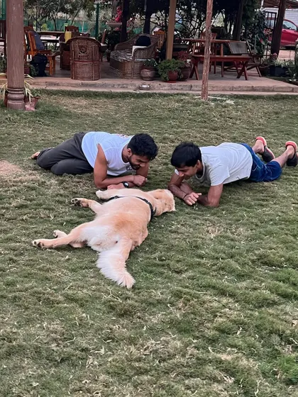 Two guests lie on the grass, getting down to a dog's level for some gentle playtime and interaction.