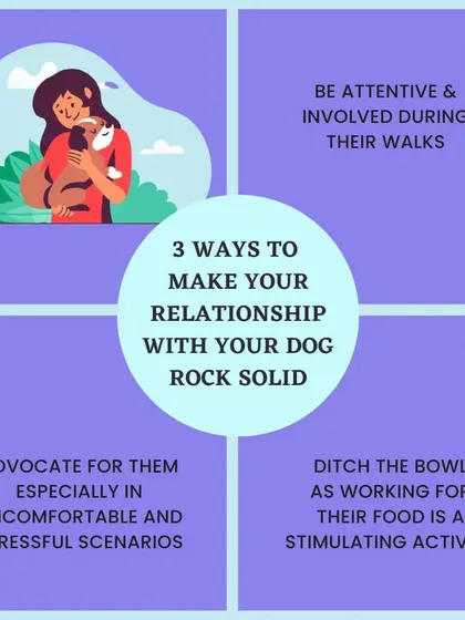 Building a rock-solid relationship with your dog is about small, consistent actions. I encourage being attentive on walks, advocating for your dog in stressful situations, and making them work for their food to build trust and a strong bond.