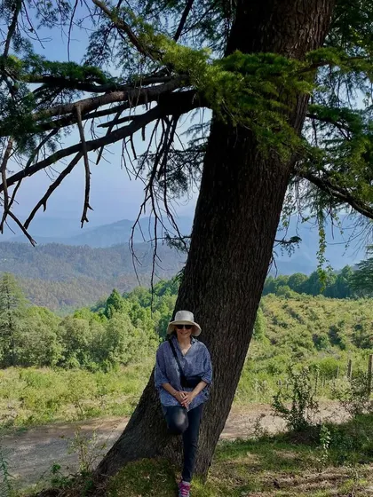 Leaning against a deodar tree, soaking in the view and the quiet gladness of the forest. The trees save me, daily.