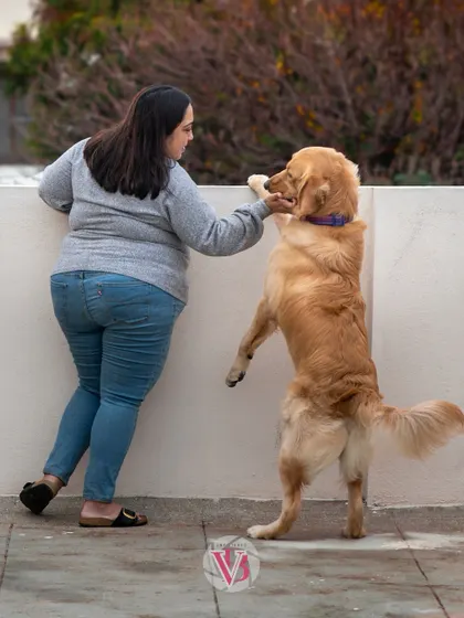 A sweet moment between Shweta and Asher on their rooftop, showing that adventures can happen anywhere.