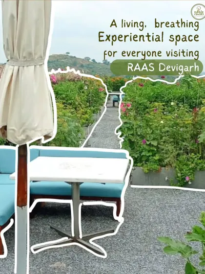 We helped create one of India's most breathtaking rooftop gardens at RAAS Devigarh. This project is a testament to our mission of blending beauty, heritage, and sustainability.