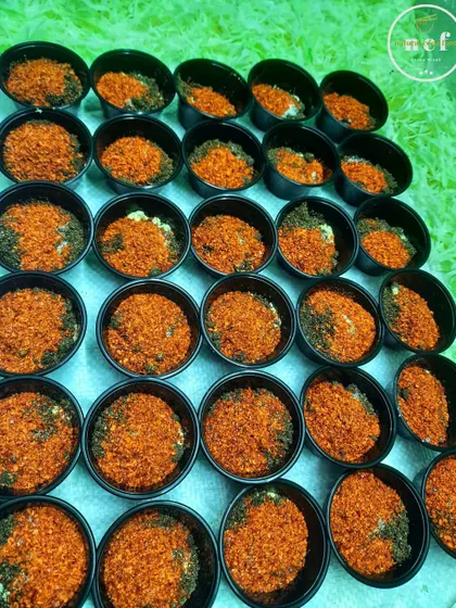 The special spice mix for my Manipuri 'Singju', portioned out for a large order. The red chilli powder and roasted ground spices are key.