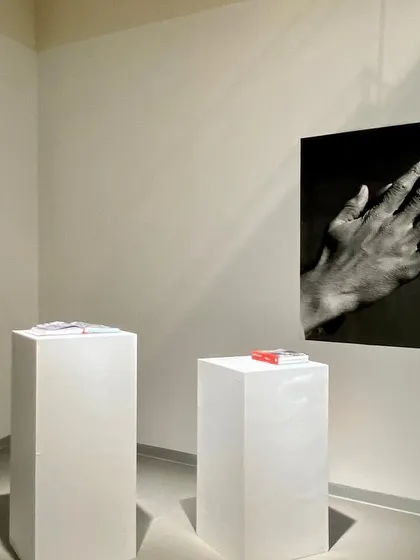 An exhibition corner in the Museum of Art and Photography (MAP), where simple white pedestals and focused lighting create a minimalist setting for the artwork. The architecture is designed to serve the art, not overpower it.
