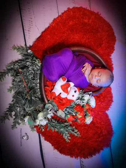 A creative newborn shot with the baby sleeping in a basket placed on a large red heart, surrounded by greenery.