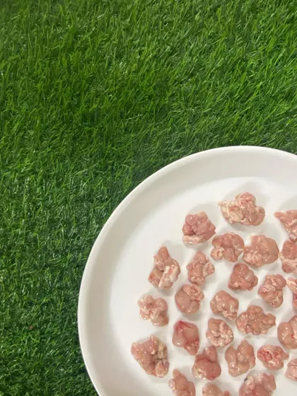 For the adventurous raw feeder, we offer specialty organs like chicken brain. These are incredibly nutrient dense and provide a unique addition to a balanced raw diet.