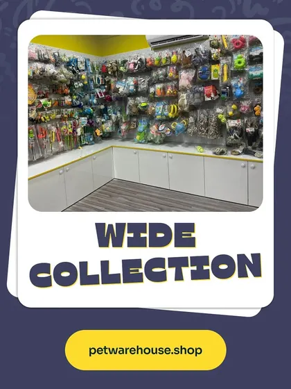 Just look at that wide collection. This is our dedicated corner for pet toys, featuring a huge variety of options to keep your dog or cat entertained for hours.