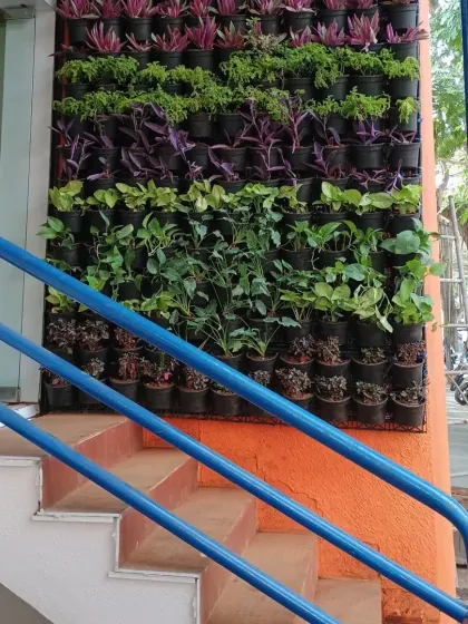 This living vertical garden, installed at a building's entrance, welcomes visitors with vibrant color. I used a variety of plants with purple, green, and variegated leaves, arranged in a pattern to create visual interest and a fresh look.