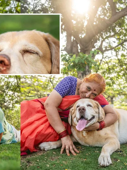 A collage from Kumo's senior shoot, showing him getting cuddles from his grandma. These multi-generational photos are always so special.
